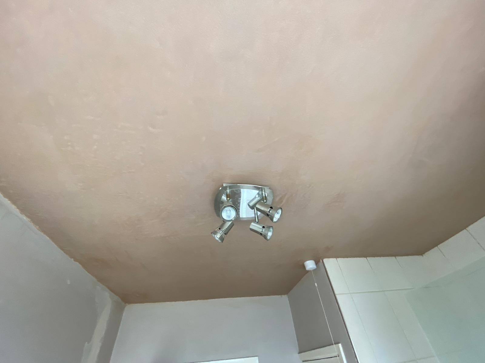 Bathroom ceiling skim